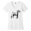 Women's Perfect Weight ® V Neck Tee Thumbnail