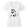 Women's Perfect Weight ® V Neck Tee Thumbnail