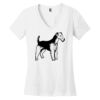 Women's Perfect Weight ® V Neck Tee Thumbnail