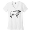 Women's Perfect Weight ® V Neck Tee Thumbnail