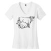 Women's Perfect Weight ® V Neck Tee Thumbnail