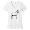 Women's Perfect Weight ® V Neck Tee Thumbnail