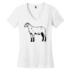 Women's Perfect Weight ® V Neck Tee Thumbnail