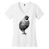 Women's Perfect Weight ® V Neck Tee Thumbnail