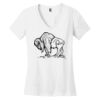 Women's Perfect Weight ® V Neck Tee Thumbnail
