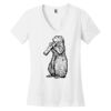 Women's Perfect Weight ® V Neck Tee Thumbnail